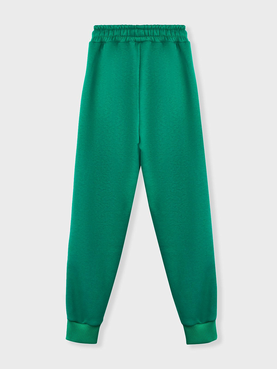 Джоггеры  с начесом №9 Jungle journey Джоггеры  с начесом №9 Jungle journey